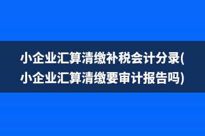 小企業(yè)匯算清繳補(bǔ)稅會計(jì)分錄(小企業(yè)匯算清繳要審計(jì)報(bào)告嗎)