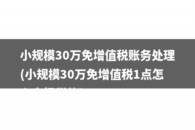 小規(guī)模30萬免增值稅賬務(wù)處理(小規(guī)模30萬免增值稅1點(diǎn)怎么申報(bào)稅款)