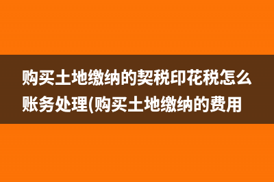 購買土地繳納的契稅印花稅怎么賬務處理(購買土地繳納的費用)