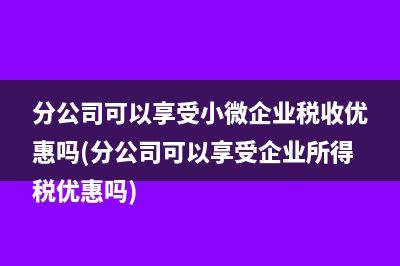 分公司可以享受小微企業(yè)稅收優(yōu)惠嗎(分公司可以享受企業(yè)所得稅優(yōu)惠嗎)