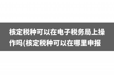 怎樣在電子稅務(wù)局添加多名財務(wù)人員(怎樣在電子稅務(wù)局查詢已開發(fā)票)