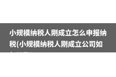 小規(guī)模納稅人剛成立怎么申報納稅(小規(guī)模納稅人剛成立公司如何記賬)