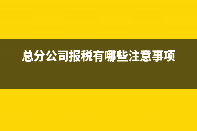 總分公司報(bào)稅有哪些注意事項(xiàng)