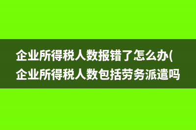 企業(yè)所得稅人數(shù)報錯了怎么辦(企業(yè)所得稅人數(shù)包括勞務(wù)派遣嗎)