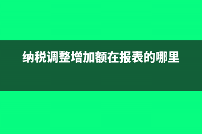 納稅調(diào)整增加額是什么意思?(納稅調(diào)整增加額在報(bào)表的哪里)