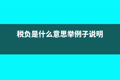 稅負(fù)是什么意思?(稅負(fù)是什么意思舉例子說明)