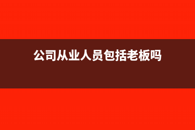 公司從業(yè)人員包括人事派遣人員嗎?(公司從業(yè)人員包括老板嗎)