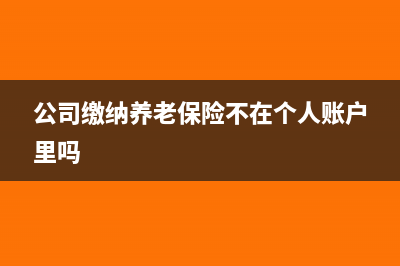 公司繳納養(yǎng)老保險部分怎么做賬?(公司繳納養(yǎng)老保險不在個人賬戶里嗎)