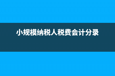 小規(guī)模納稅人稅控盤(pán)非首次購(gòu)買(mǎi)能抵扣增值稅嗎?(小規(guī)模納稅人稅費(fèi)會(huì)計(jì)分錄)