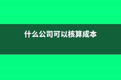 什么公司可以核定征收?(什么公司可以核算成本)