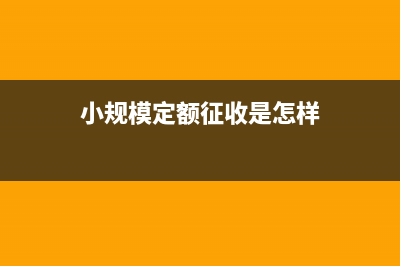 小規(guī)模定額征收納稅申報(bào)表(小規(guī)模定額征收是怎樣)