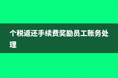 個稅返還手續(xù)費屬于政府補助嗎(個稅返還手續(xù)費獎勵員工賬務(wù)處理)