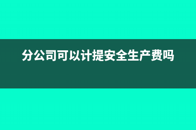 分公司可以計(jì)提盈余公積嗎?(分公司可以計(jì)提安全生產(chǎn)費(fèi)嗎)