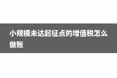 小規(guī)模未達(dá)起征點(diǎn)資產(chǎn)負(fù)債表怎么填?(小規(guī)模未達(dá)起征點(diǎn)的增值稅怎么做賬)