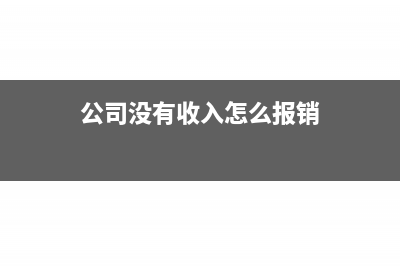 公司沒有收入怎么對做賬(公司沒有收入怎么報(bào)銷)