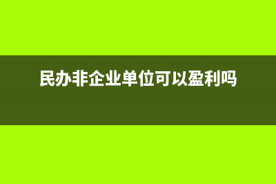 民辦非企業(yè)單位要交哪些稅(民辦非企業(yè)單位可以盈利嗎)