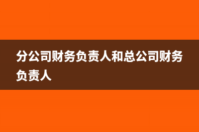 分公司財(cái)務(wù)負(fù)責(zé)人可以和總公司是一個(gè)人嗎(分公司財(cái)務(wù)負(fù)責(zé)人和總公司財(cái)務(wù)負(fù)責(zé)人)