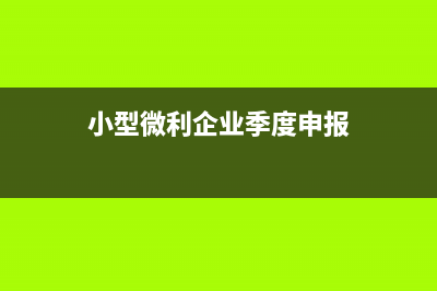 季度小型微利企業(yè)怎么納稅(小型微利企業(yè)季度申報)