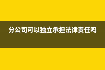 分公司可以獨立發(fā)工資嗎(分公司可以獨立承擔(dān)法律責(zé)任嗎)