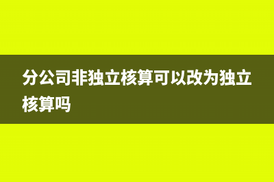 分公司非獨(dú)立核算需要開戶嗎(分公司非獨(dú)立核算可以改為獨(dú)立核算嗎)