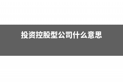 投資控股企業(yè)性質(zhì)是什么(投資控股型公司什么意思)