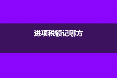 進項稅額計提是什么意思(進項稅額記哪方)