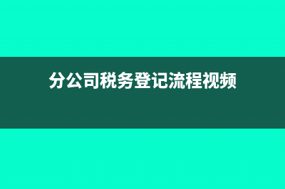 分公司稅務(wù)登記需要什么材料(分公司稅務(wù)登記流程視頻)