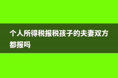 個(gè)人所得稅報(bào)稅可以3個(gè)月一起報(bào)嗎(個(gè)人所得稅報(bào)稅孩子的夫妻雙方都報(bào)嗎)