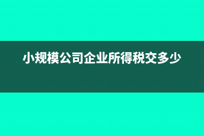 小規(guī)模公司企業(yè)所得稅怎么算(小規(guī)模公司企業(yè)所得稅交多少)