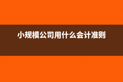 小規(guī)模公司用什么記賬(小規(guī)模公司用什么會(huì)計(jì)準(zhǔn)則)