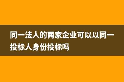 同一個法人的兩家企業(yè)之間是否可以進行資產(chǎn)調(diào)撥(同一法人的兩家企業(yè)可以以同一投標人身份投標嗎)