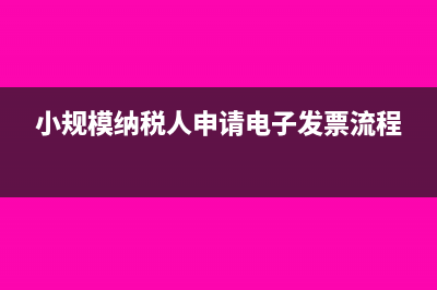 小規(guī)模納稅人申報(bào)表怎么填(小規(guī)模納稅人申請電子發(fā)票流程)