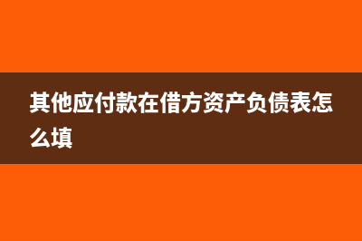 其他應(yīng)付款在借方和貸方是什么意思(其他應(yīng)付款在借方資產(chǎn)負債表怎么填)