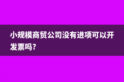 小規(guī)模電商沒(méi)進(jìn)項(xiàng)發(fā)票怎么辦(小規(guī)模商貿(mào)公司沒(méi)有進(jìn)項(xiàng)可以開(kāi)發(fā)票嗎?)