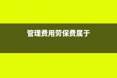 國稅電子鑰匙怎么網上續(xù)費(國稅地稅電子鑰匙價格)