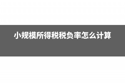 小規(guī)模所得稅稅率是千分之五嗎(小規(guī)模所得稅稅負率怎么計算)