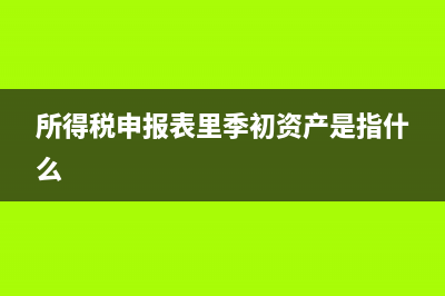 所得稅申報表里的減免所得稅額是怎么計算的(所得稅申報表里季初資產(chǎn)是指什么)