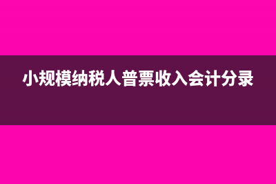 報(bào)附加稅增加一行如何填寫(申報(bào)附加稅增加一行如何增加)