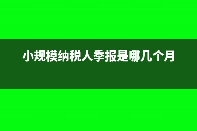 小規(guī)模納稅人季增值稅減免是否計(jì)入政府補(bǔ)助(小規(guī)模納稅人季報(bào)是哪幾個(gè)月)