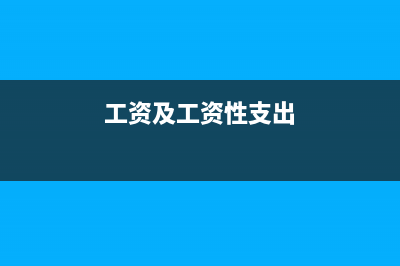 工資性支出財務(wù)如何處理(工資及工資性支出)