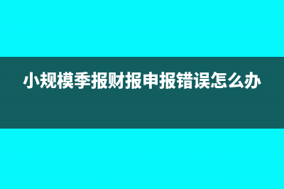 小規(guī)模納稅人報稅時印花稅怎么報(小規(guī)模納稅人報銷會計分錄)