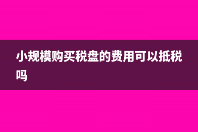 小規(guī)模購買稅盤抵稅怎么入賬(小規(guī)模購買稅盤的費用可以抵稅嗎)