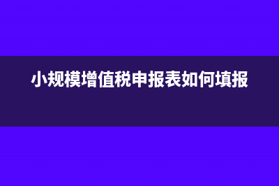 小規(guī)模增值稅申報表免稅銷售額怎么填(小規(guī)模增值稅申報表如何填報)