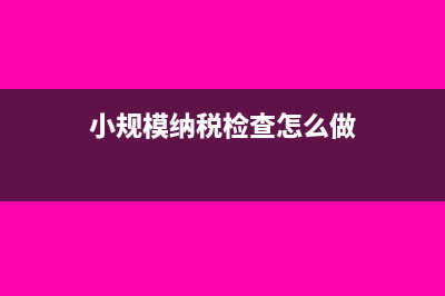 小規(guī)模納稅檢查調(diào)整如何填寫(xiě)報(bào)表(小規(guī)模納稅檢查怎么做)