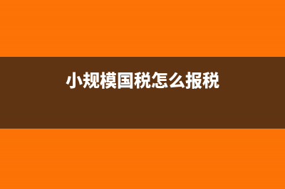 小規(guī)模國稅稅務申報如何進行網上申報？(小規(guī)模國稅怎么報稅)