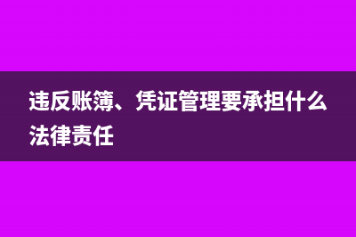 違反賬簿、憑證管理要承擔什么法律責任