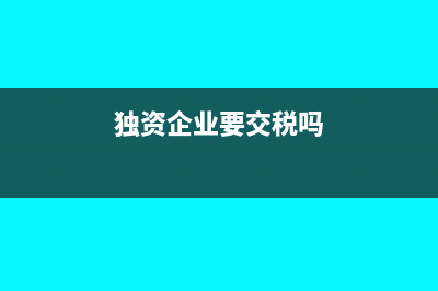 獨(dú)資企業(yè)都要計(jì)提所得稅嗎(獨(dú)資企業(yè)要交稅嗎)