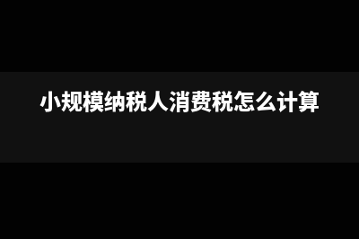 小規(guī)模納稅人消費(fèi)稅納稅期限(小規(guī)模納稅人消費(fèi)稅怎么計(jì)算)