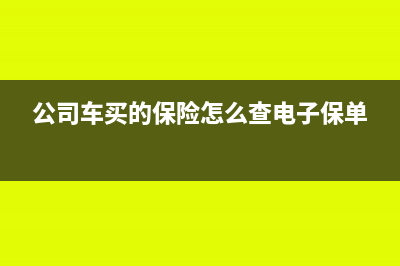 公司車買的保險(xiǎn)如何做賬務(wù)處理合適呢？(公司車買的保險(xiǎn)怎么查電子保單)