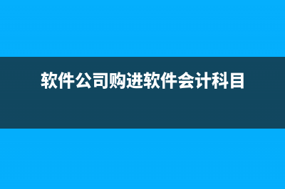 一次性支付的融資租賃手續(xù)費如何做財務處理？(一次性付清的優(yōu)缺點)